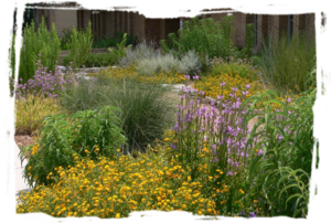 floral raingarden.png