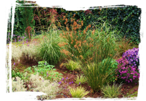 floral raingarden 3.png