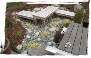 modern raingarden.png